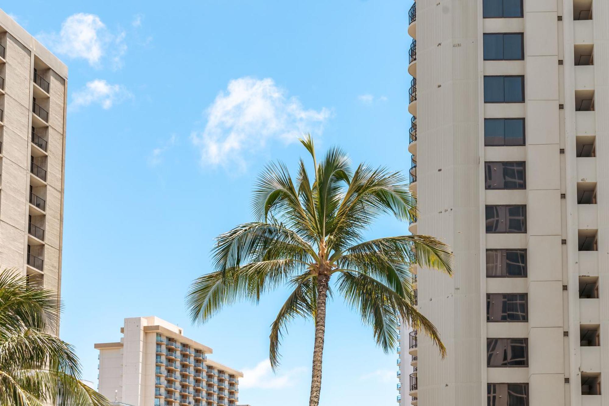Diamond Head Views Retreat With Free Parking & Near Waikiki Beach! Honolulu Exterior photo